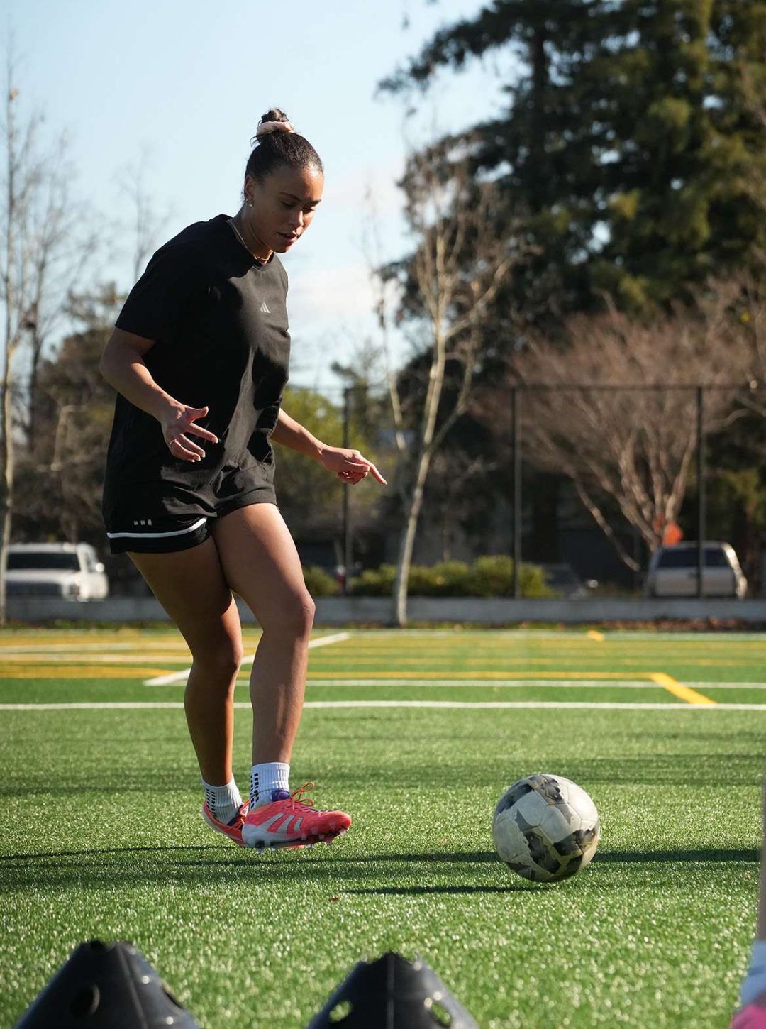 Academy Spotlights 4.JPG